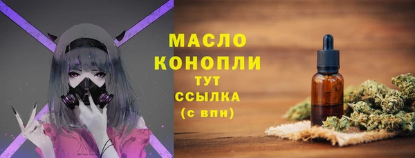 ECSTASY Богданович