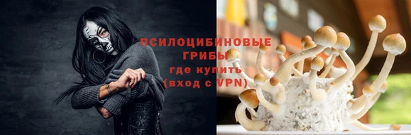 ECSTASY Богданович
