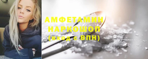 крисы Сосновый Бор