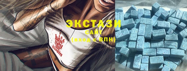 ECSTASY Богданович