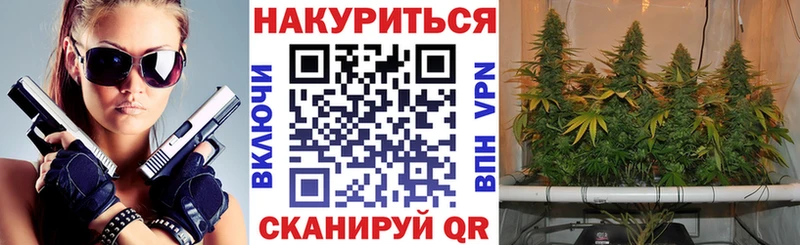 продажа наркотиков  Благодарный  блэк спрут   Канабис план 